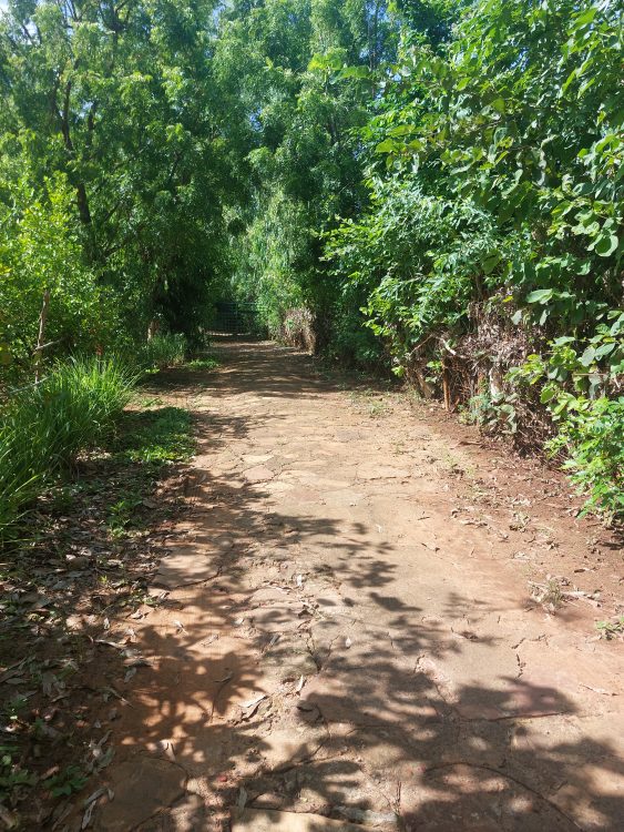 Acces o route privé