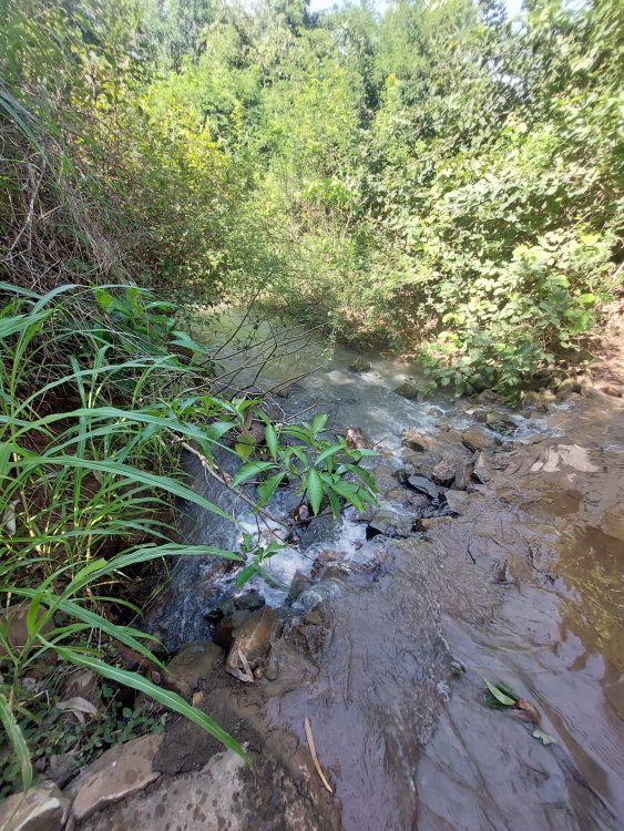 Marigo, sufficent du leau