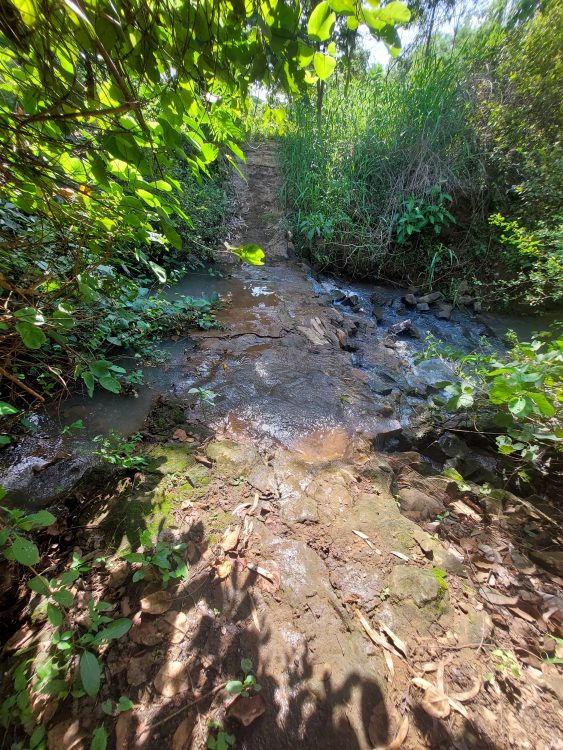 Marigo, sufficent du leau